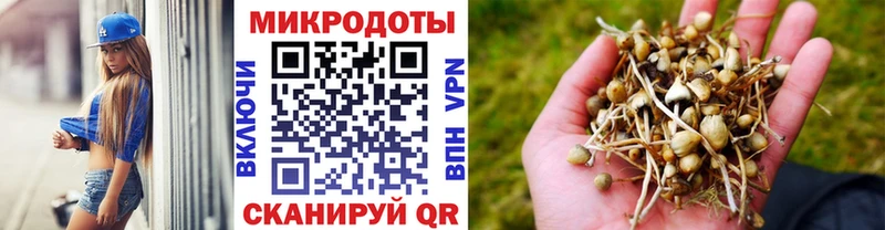 Галлюциногенные грибы Magic Shrooms  Чёрмоз 